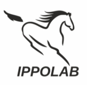 IPPOLAB, Россия IPPOLAB, Россия